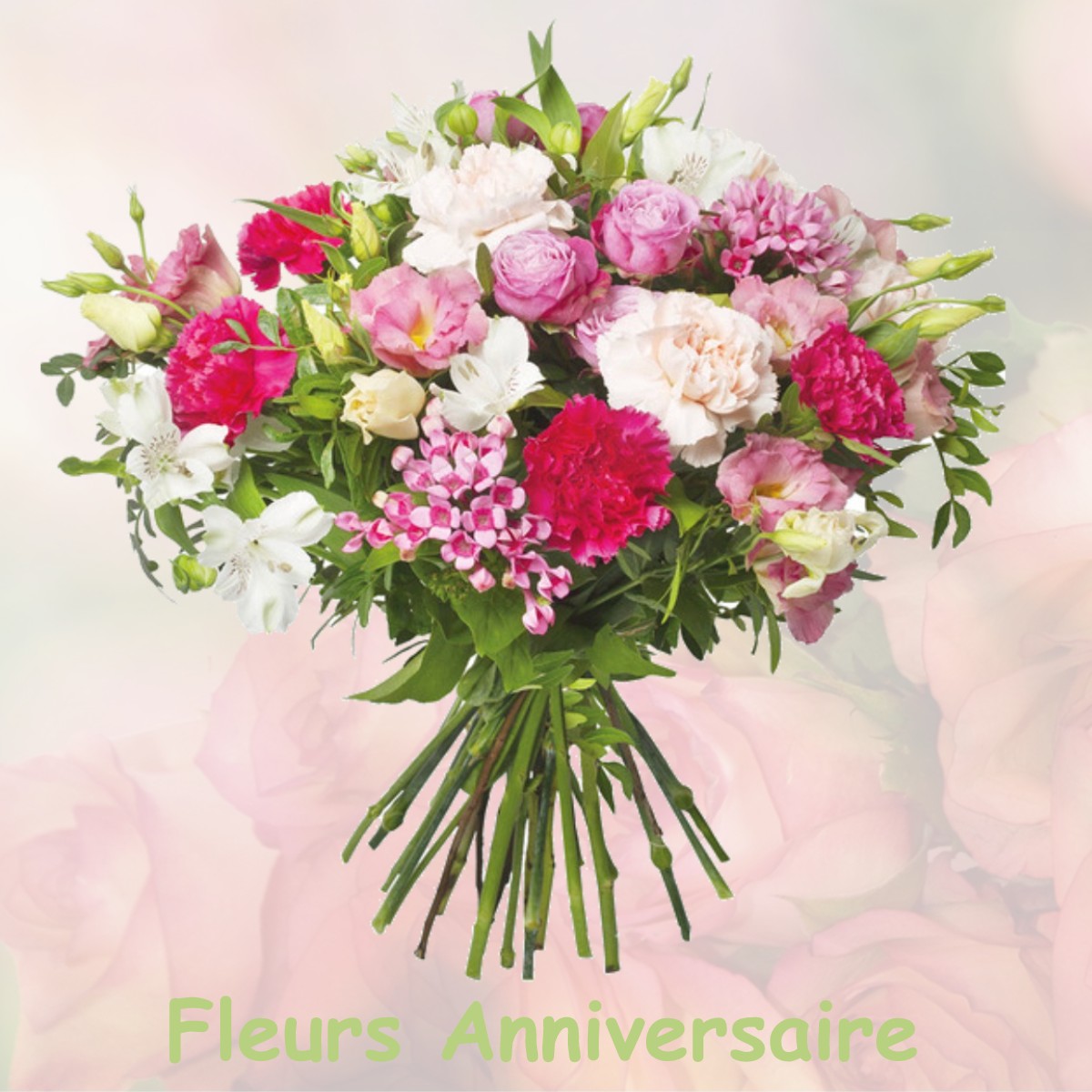 fleurs anniversaire DOMPIERRE-BECQUINCOURT